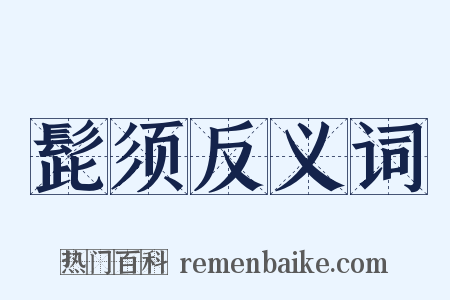 髭须反义词是什么意思的图片